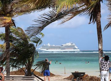 dominica/hampstead-beach/shop/dominica-botanical-gardens