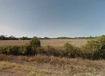 alabama/talladega-national-forest/shop/veterans-trade-day