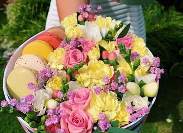 czechia/south-bohemia/shop/blossom-czechia