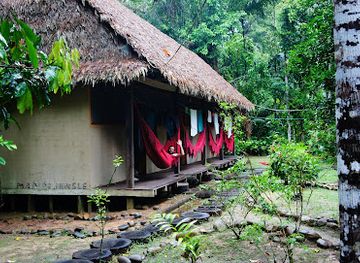 bolivia/madidi-national-park/shop/madidi-jungle-ecolodge