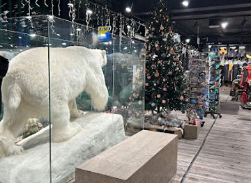 norway/tromso/shop/tourist-shop-tromso