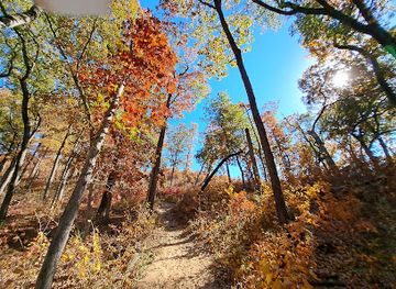 indiana/indiana-dunes-national-park/shop/indiana-dunes-national-park-cowles-bog-trail