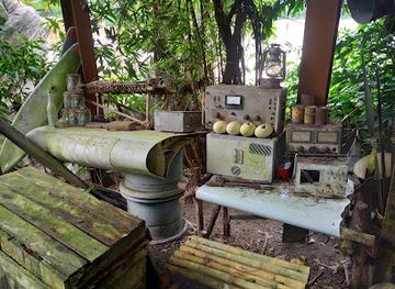 netherlands/drenthe/shop/goudkoorts