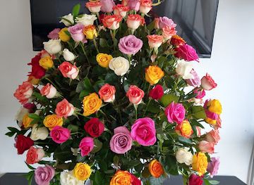 colombia/coffee-axis/shop/colors-boutique-floral