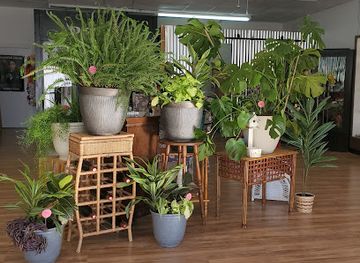 new-mexico/socorro/shop/pretty-petals-boutique