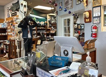 colorado/northwest-colorado/shop/the-golden-curiosity-shop
