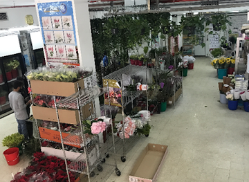 kuwait/hawalli/shop/flora-national-gen-trad-co-hawally