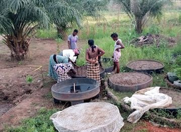 guinea-bissau/cacheu-mangroves-natural-park/shop/ibap