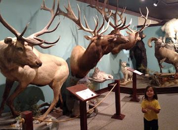 montana/the-missouri-river-country/shop/the-children-s-museum-of-northeast-montana
