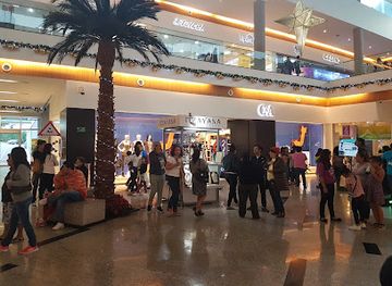 mexico/trans-mexican-volcanic-belt/shop/c-a