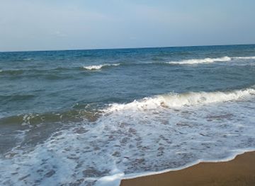 sri-lanka/mullaitivu-district/shop/s-p-s-sellappa-karavalaivaadi-fish-dryfish-found-here