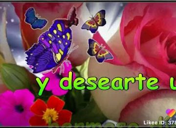 pennsylvania/reading/shop/one-of-a-kind-grocery-store