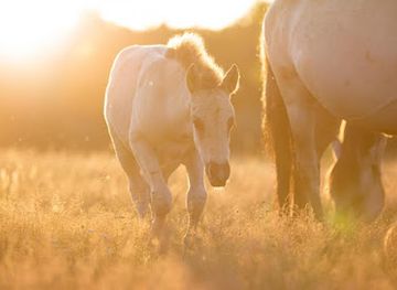 latvia/pape-nature-reserve/shop/pape-nature-park