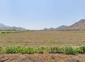 peru/san-martin/shop/n-san-martin