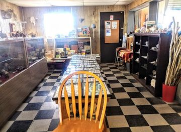 new-mexico/chihuahuan-desert/shop/trina-s-rock-shop
