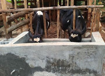 kenya/kerio-valley/shop/kiahungu-shopping-centre