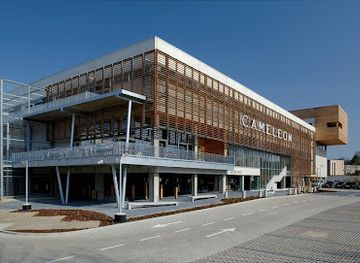 belgium/duchy-of-brabant/shop/cameleon