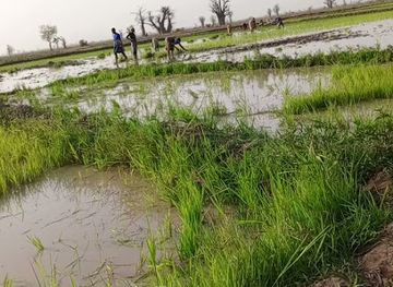 mali/macina/shop/hopital