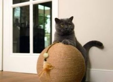 norway/hordaland/shop/romeo-julie