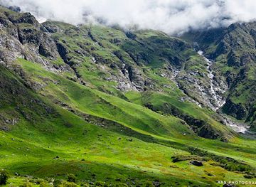 india/auli/shop/valley-of-flowers-national-park