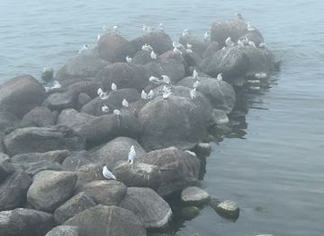lithuania/palanga-beach/shop/danutes-suvenyrai