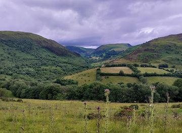united-kingdom/radnorshire/shop/gilfach-nature-reserve