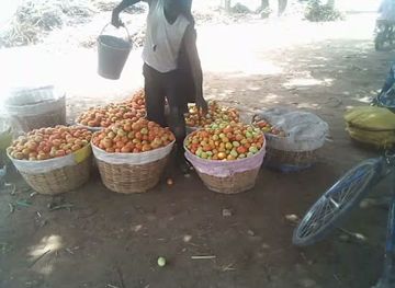 mali/segou-region/shop/double-seven-depot