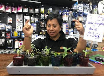 australia/western-australia/shop/halls-creek-home