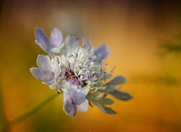 spain/barcelona/poble-sec/shop/raso-y-tacon-tienda-de-ropa-de-mujer-barcelona