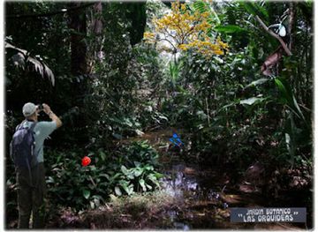 ecuador/pastaza-region/shop/las-orquideas-botanical-garden