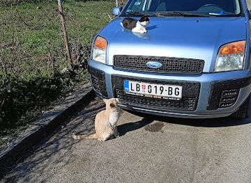 serbia/belgrade/shop/kreativni-suveniri