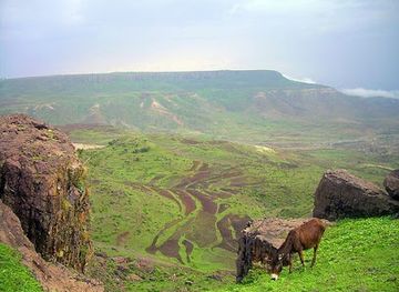 eritrea/mendefera/shop/enda-sharela