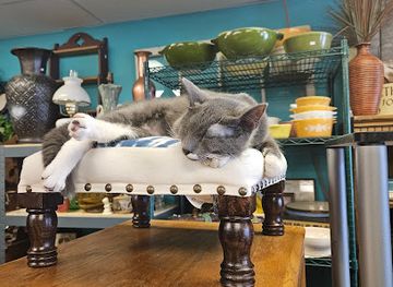 north-dakota/grand-forks/shop/701-thrift