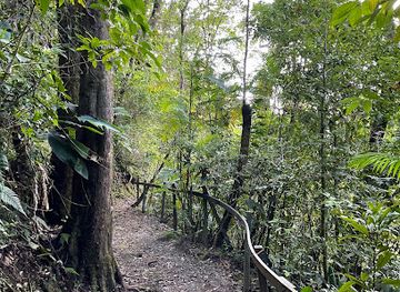 costa-rica/monteverde-cloud-forest-biological-reserve/shop/children-s-eternal-rain-forest-bajo-del-tigre