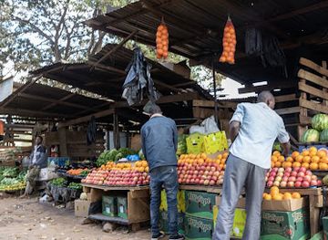 malawi/shire-valley/shop/lizulu-horticulture-market