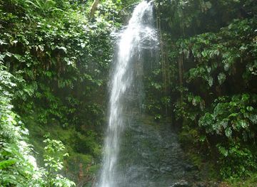 suriname/brokopondo-reservoir/shop/brownsberg