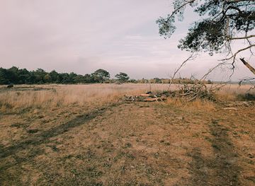 netherlands/hoge-veluwe-national-park/shop/ingang-hoenderloo-nationaal-park-de-hoge-veluwe