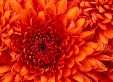 bosnia-and-herzegovina/semberija/shop/butik-fancy