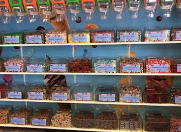 the-bahamas/andros-town/shop/snacks-4-all
