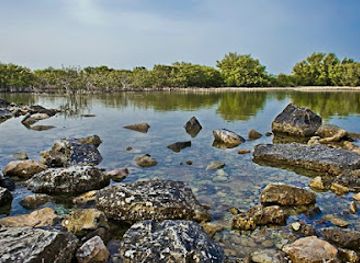 qatar/al-thakira-mangroves/shop/al-thakhira-beach