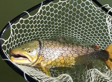 montana/the-little-bighorn-battlefield/shop/bighorn-trout-shop-lodge