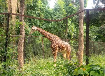 india/patna/sanjay-gandhi-jaivik-udyan/shop/sanjay-gandhi-biological-park-patna