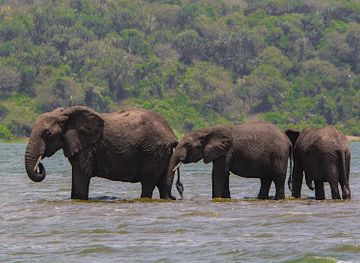 rwanda/akagera-national-park/shop/rwanda-eco-company-and-safaris