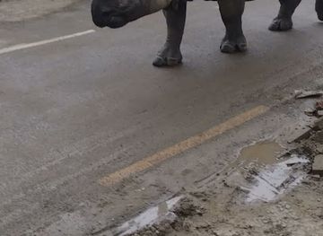 nepal/chitwan/shop/unique-gift-shop