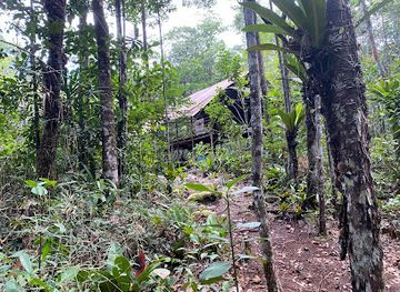suriname/tafelberg-nature-reserve/shop/tafelberg