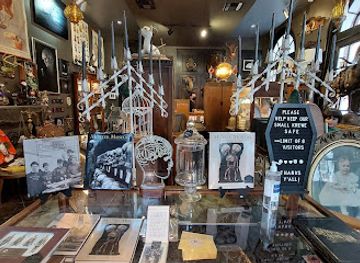 louisiana/new-orleans/shop/dark-matter-oddities-artisan-collective