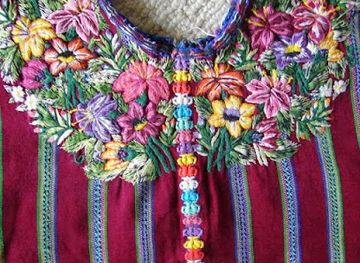 wisconsin/madison/shop/terra-experience