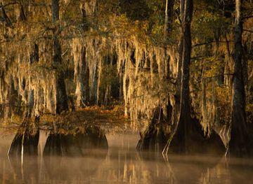 louisiana/atchafalaya-national-heritage-area/shop/the-atchafalaya-experience