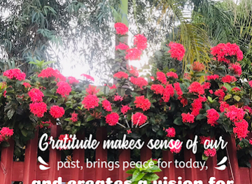 curacao/willemstad/shop/bonitha