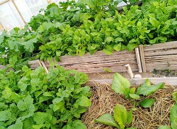 cambodia/kep/shop/prey-thom-farm